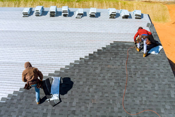 Best Sheet Metal Roofing  in Lake Barcroft, VA